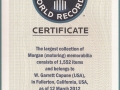 morgan-guinness-world-records.jpg